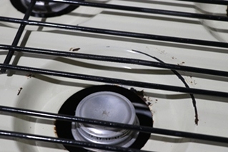 USED C-37AP WEDGEWOOD BY ATWOOD COOKTOP